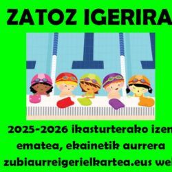 zatoz igerira irudia Zubiaurre IK